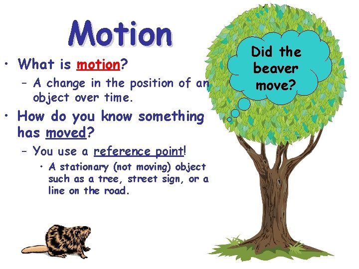 Motion • What is motion? – A change in the position of an object