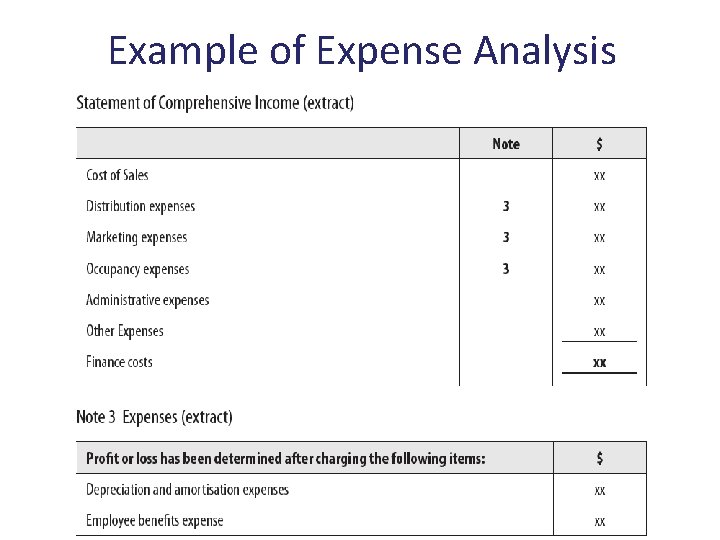 Example of Expense Analysis Disclosure by Function 