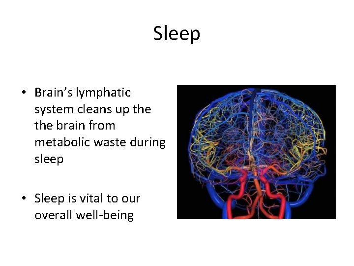 Sleep • Brain’s lymphatic system cleans up the brain from metabolic waste during sleep