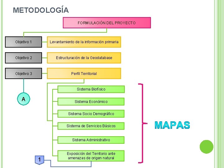 METODOLOGÍA FORMULACIÓN DEL PROYECTO Objetivo 1 Levantamiento de la información primaria Objetivo 2 Estructuración