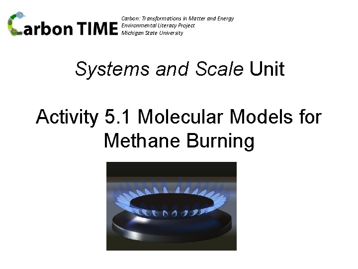 Carbon: Transformations in Matter and Energy Environmental Literacy Project Michigan State University Systems and