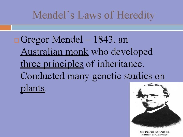 Mendel’s Laws of Heredity Gregor Mendel – 1843, an Australian monk who developed three