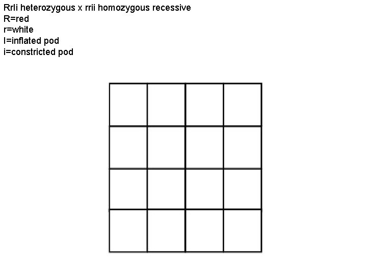 Rr. Ii heterozygous x rrii homozygous recessive R=red r=white I=inflated pod i=constricted pod 