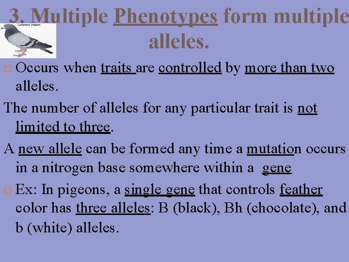 3. Multiple Phenotypes form multiple alleles. Occurs when traits are controlled by more than