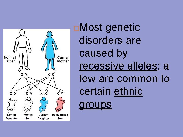 Most genetic disorders are caused by recessive alleles; a few are common to certain