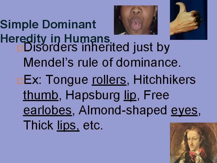 Simple Dominant Heredity in Humans Disorders inherited just by Mendel’s rule of dominance. Ex:
