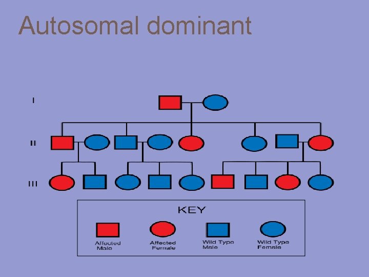 Autosomal dominant 