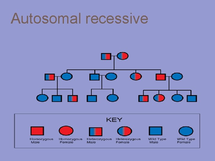 Autosomal recessive 