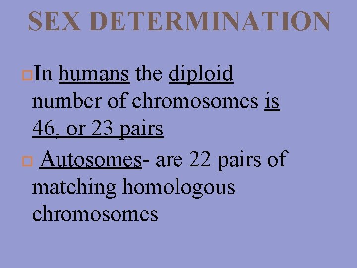 SEX DETERMINATION In humans the diploid number of chromosomes is 46, or 23 pairs