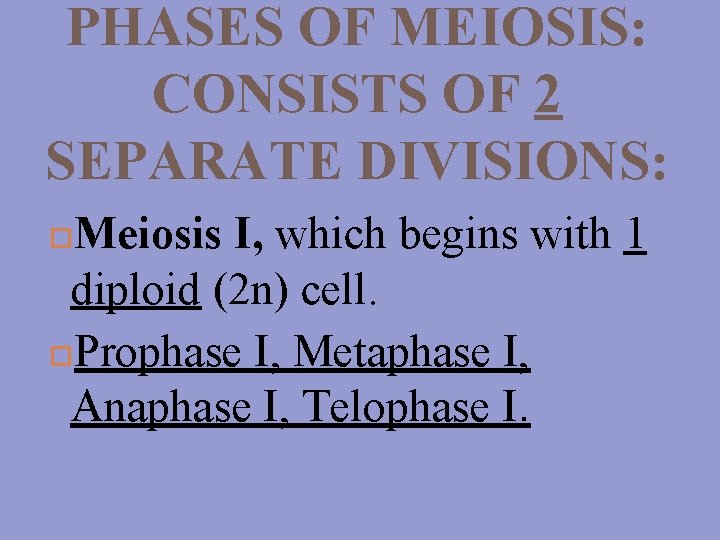 PHASES OF MEIOSIS: CONSISTS OF 2 SEPARATE DIVISIONS: Meiosis I, which begins with 1