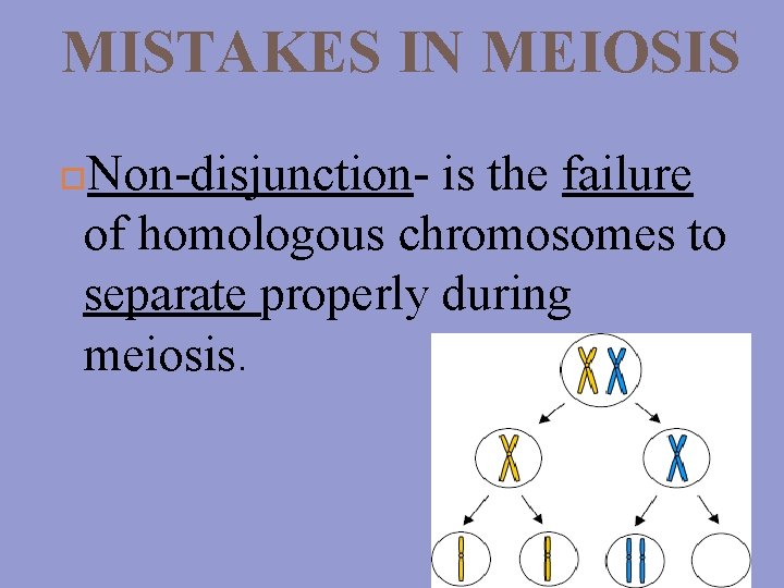 MISTAKES IN MEIOSIS Non-disjunction- is the failure of homologous chromosomes to separate properly during