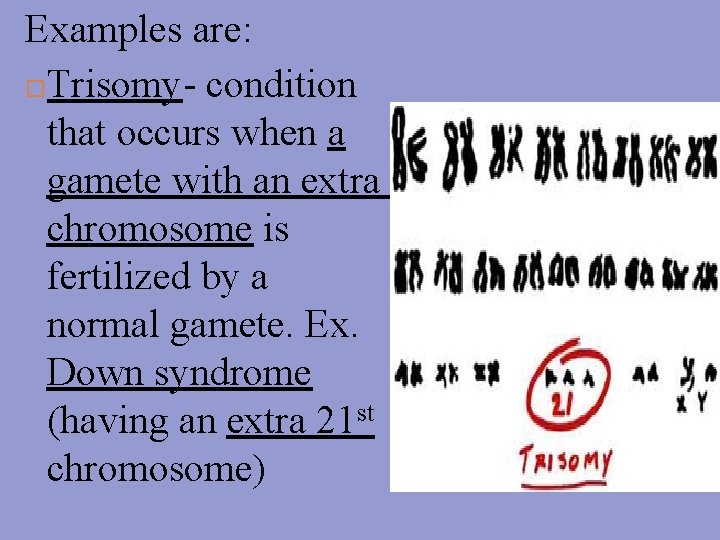 Examples are: Trisomy- condition that occurs when a gamete with an extra chromosome is