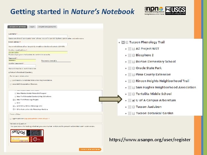 Getting started in Nature’s Notebook https: //www. usanpn. org/user/register 