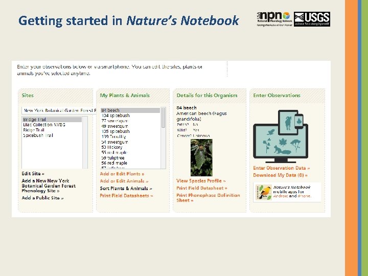 Getting started in Nature’s Notebook 