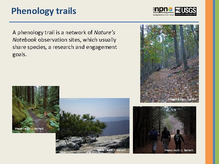 Phenology trails A phenology trail is a network of Nature’s Notebook observation sites, which