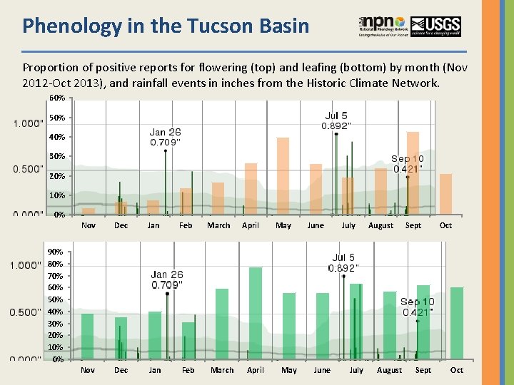 Phenology in the Tucson Basin Proportion of positive reports for flowering (top) and leafing