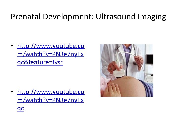 Prenatal Development: Ultrasound Imaging • http: //www. youtube. co m/watch? v=PN 3 e 7