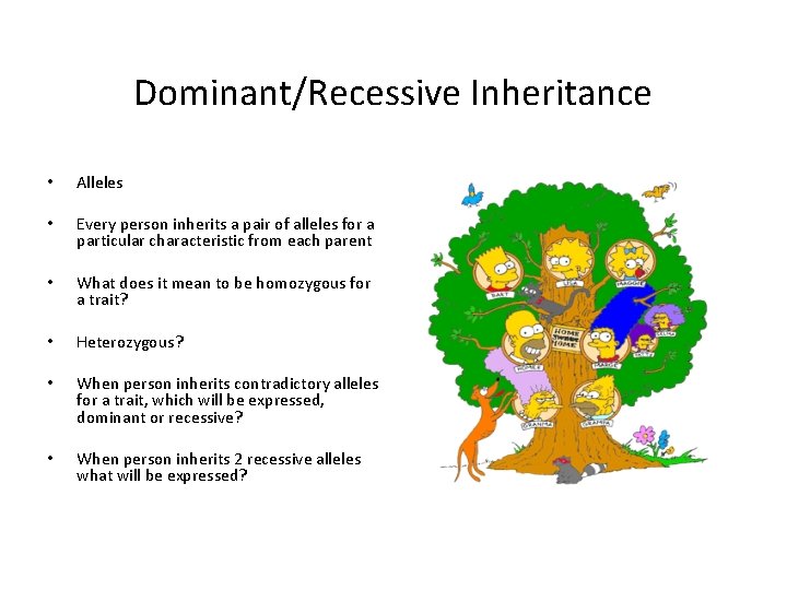 Dominant/Recessive Inheritance • Alleles • Every person inherits a pair of alleles for a