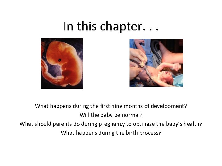 In this chapter. . . What happens during the first nine months of development?