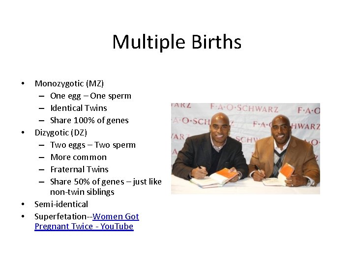 Multiple Births • • Monozygotic (MZ) – One egg – One sperm – Identical