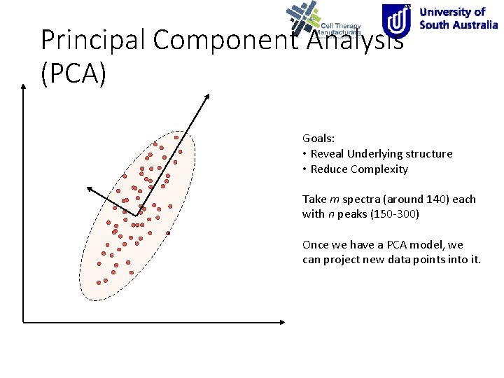 AVS Tampa 2012 Ps. Th. A 8 Principal Component Analysis (PCA) Goals: • Reveal