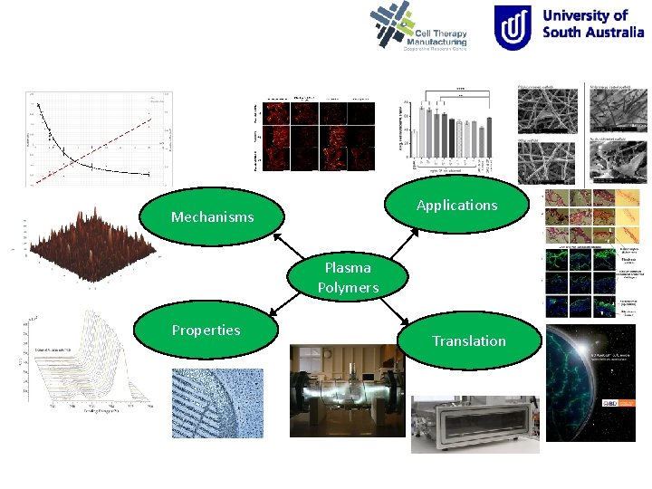 Applications Mechanisms Plasma Polymers Properties Translation 