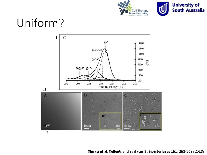 Uniform? Shirazi et al. Colloids and Surfaces B: Biointerfaces 161, 261 -268 (2018) 