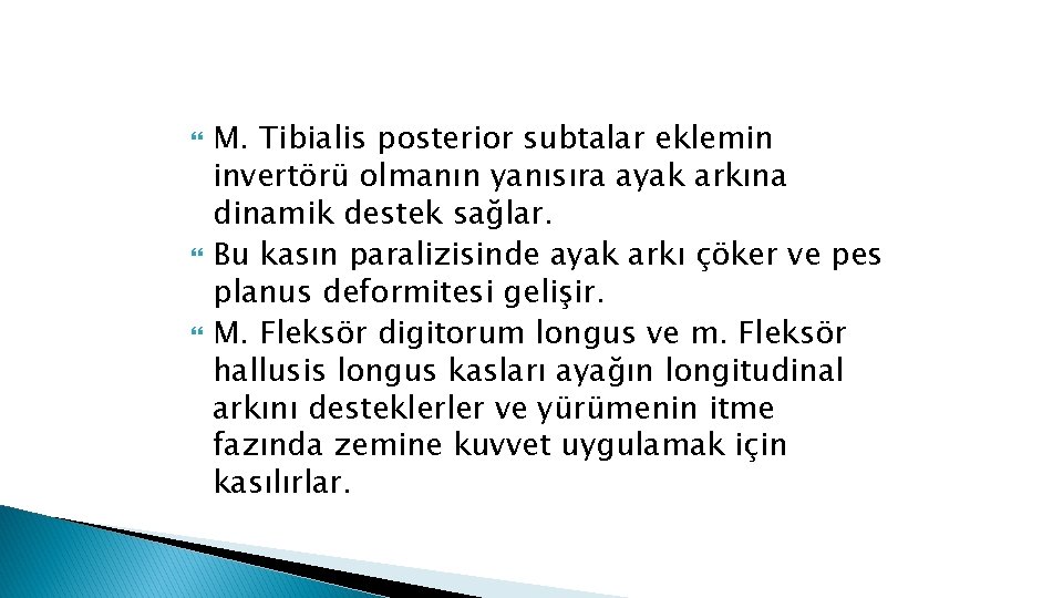  M. Tibialis posterior subtalar eklemin invertörü olmanın yanısıra ayak arkına dinamik destek sağlar.