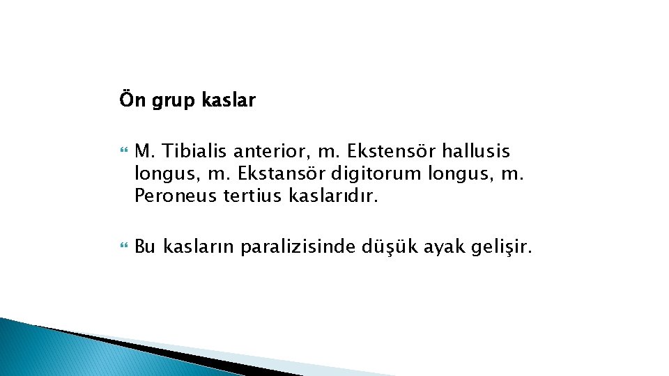 Ön grup kaslar M. Tibialis anterior, m. Ekstensör hallusis longus, m. Ekstansör digitorum longus,