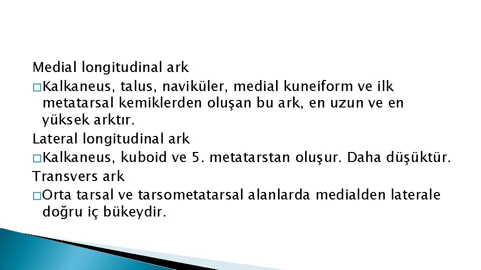 Medial longitudinal ark � Kalkaneus, talus, naviküler, medial kuneiform ve ilk metatarsal kemiklerden oluşan