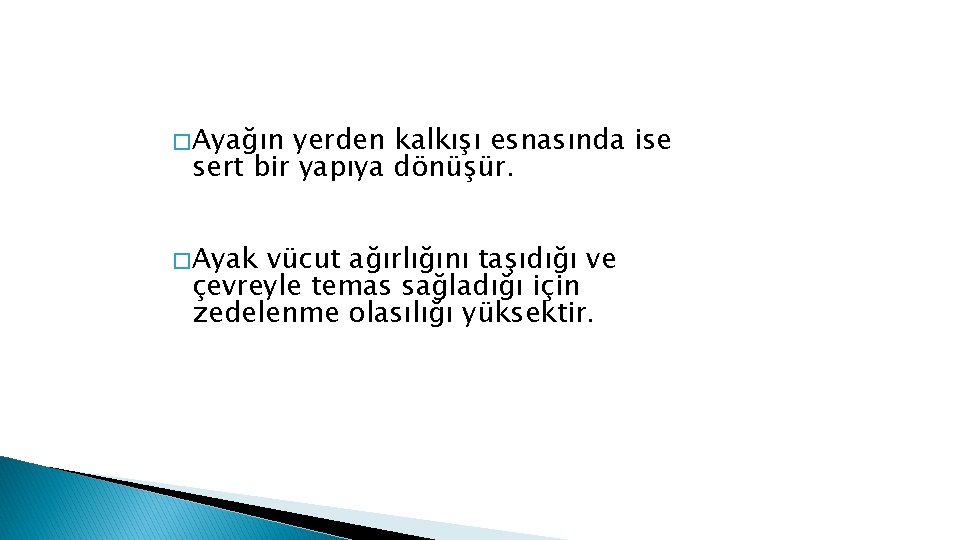 � Ayağın yerden kalkışı esnasında ise sert bir yapıya dönüşür. � Ayak vücut ağırlığını