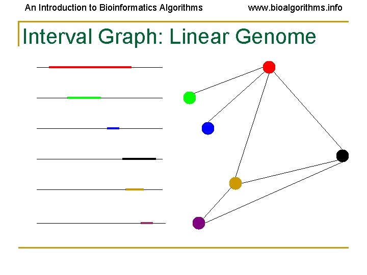 An Introduction to Bioinformatics Algorithms www. bioalgorithms. info Interval Graph: Linear Genome 