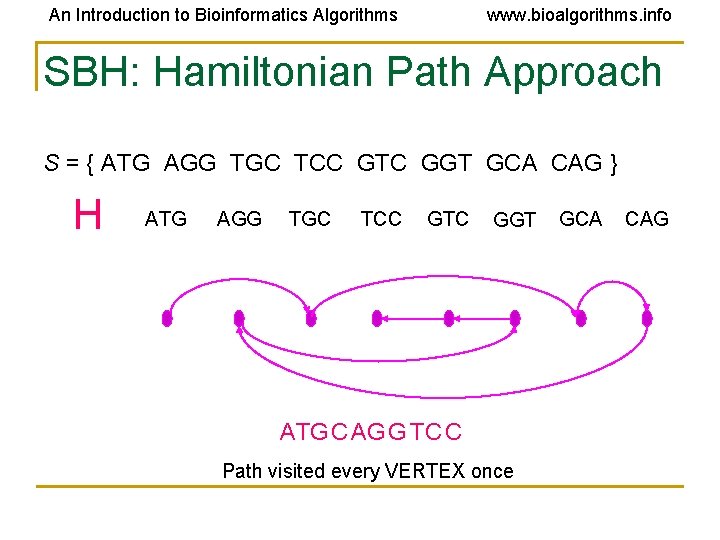An Introduction to Bioinformatics Algorithms www. bioalgorithms. info SBH: Hamiltonian Path Approach S =