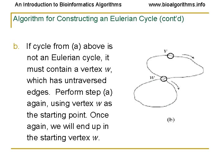 An Introduction to Bioinformatics Algorithms www. bioalgorithms. info Algorithm for Constructing an Eulerian Cycle