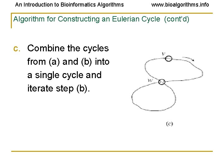 An Introduction to Bioinformatics Algorithms www. bioalgorithms. info Algorithm for Constructing an Eulerian Cycle