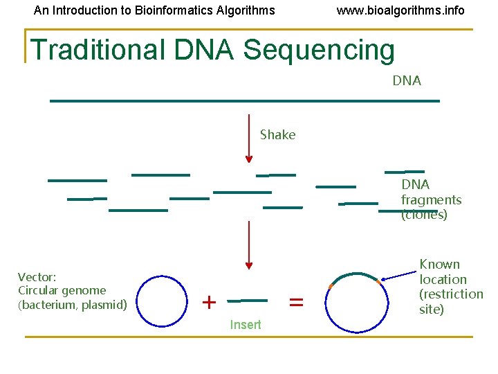 An Introduction to Bioinformatics Algorithms www. bioalgorithms. info Traditional DNA Sequencing DNA Shake DNA