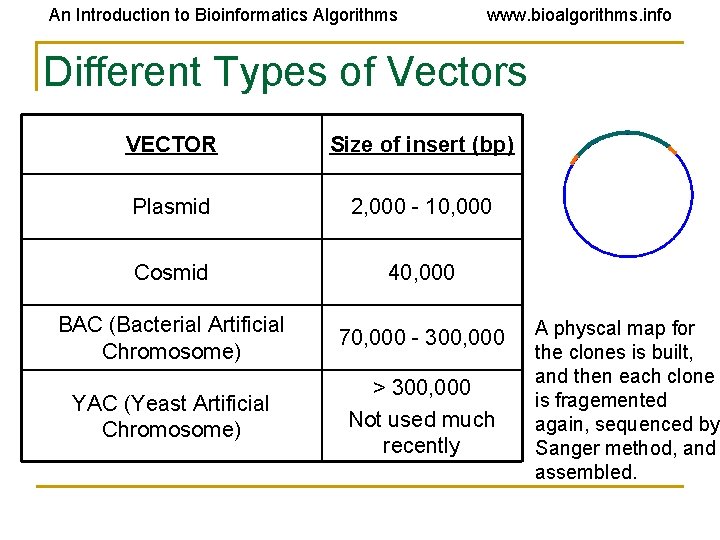 An Introduction to Bioinformatics Algorithms www. bioalgorithms. info Different Types of Vectors VECTOR Size