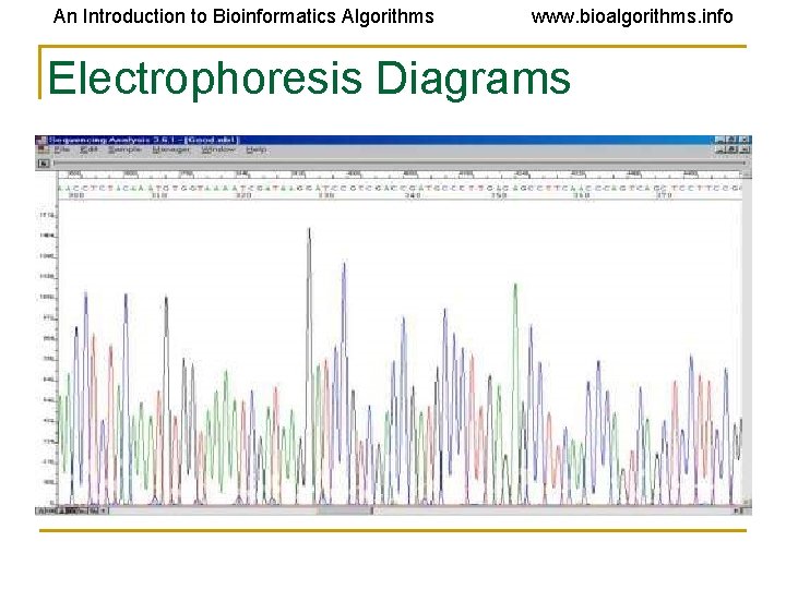 An Introduction to Bioinformatics Algorithms www. bioalgorithms. info Electrophoresis Diagrams 