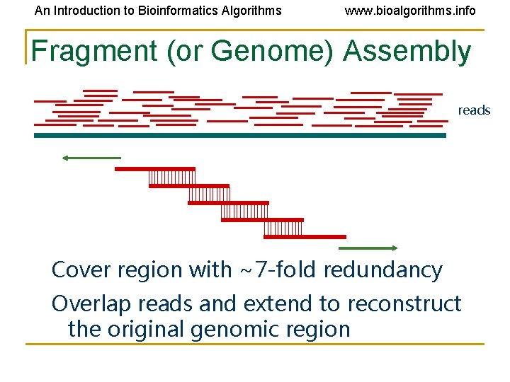 An Introduction to Bioinformatics Algorithms www. bioalgorithms. info Fragment (or Genome) Assembly reads Cover