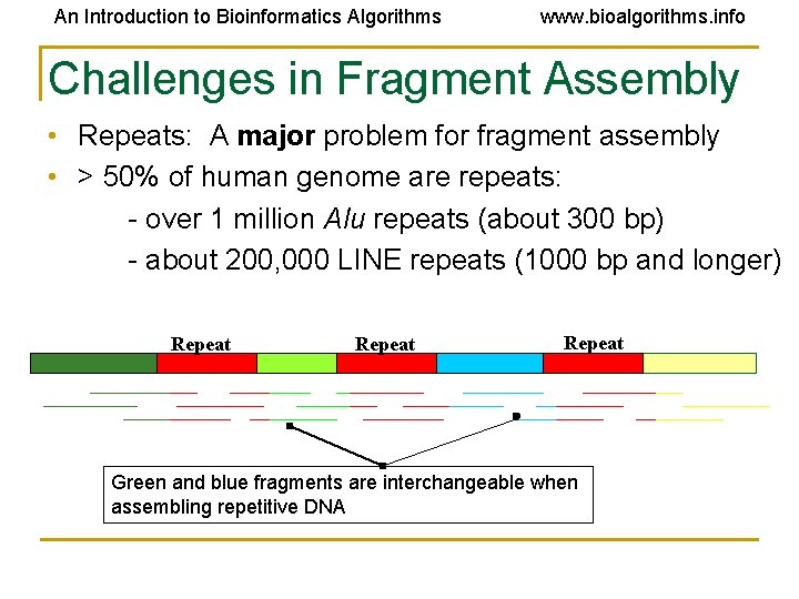An Introduction to Bioinformatics Algorithms www. bioalgorithms. info Challenges in Fragment Assembly • Repeats: