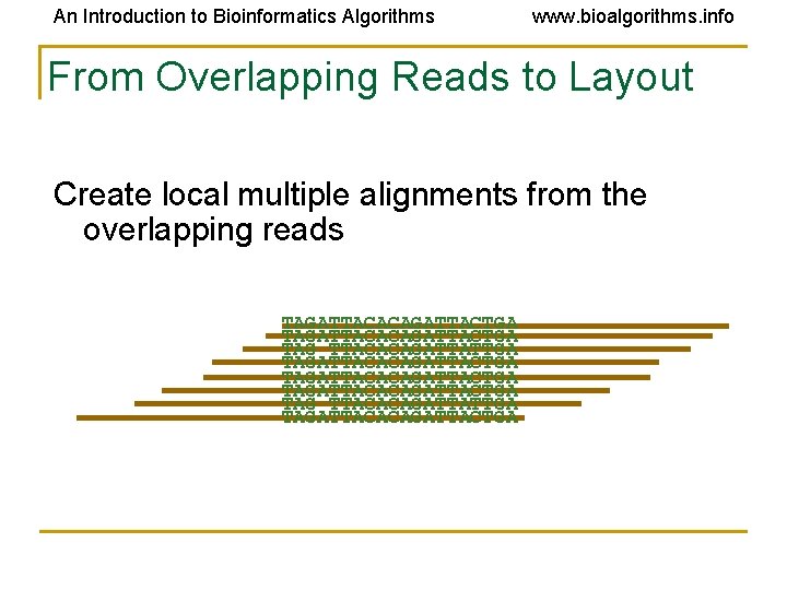 An Introduction to Bioinformatics Algorithms www. bioalgorithms. info From Overlapping Reads to Layout Create