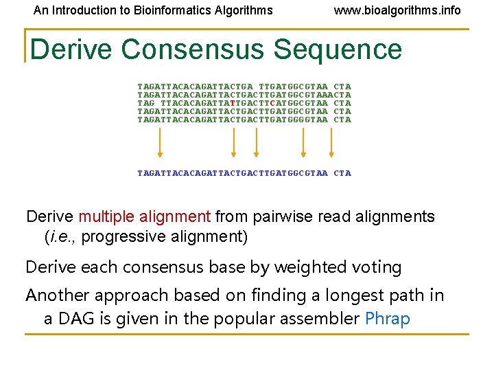 An Introduction to Bioinformatics Algorithms www. bioalgorithms. info Derive Consensus Sequence TAGATTACACAGATTACTGA TTGATGGCGTAA CTA