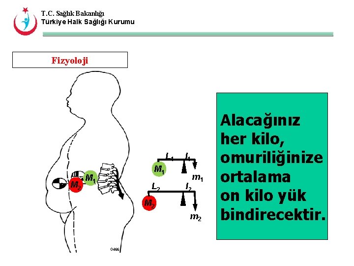T. C. Sağlık Bakanlığı Türkiye Halk Sağlığı Kurumu Fizyoloji L 1 M 2 l