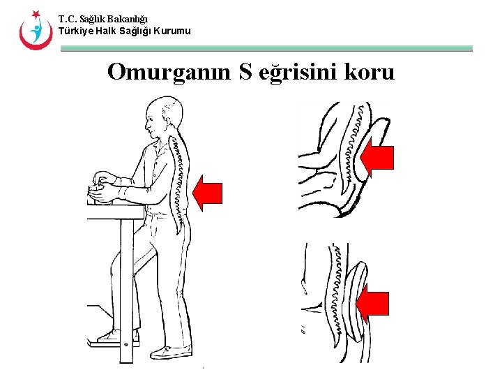 T. C. Sağlık Bakanlığı Türkiye Halk Sağlığı Kurumu Omurganın S eğrisini koru 
