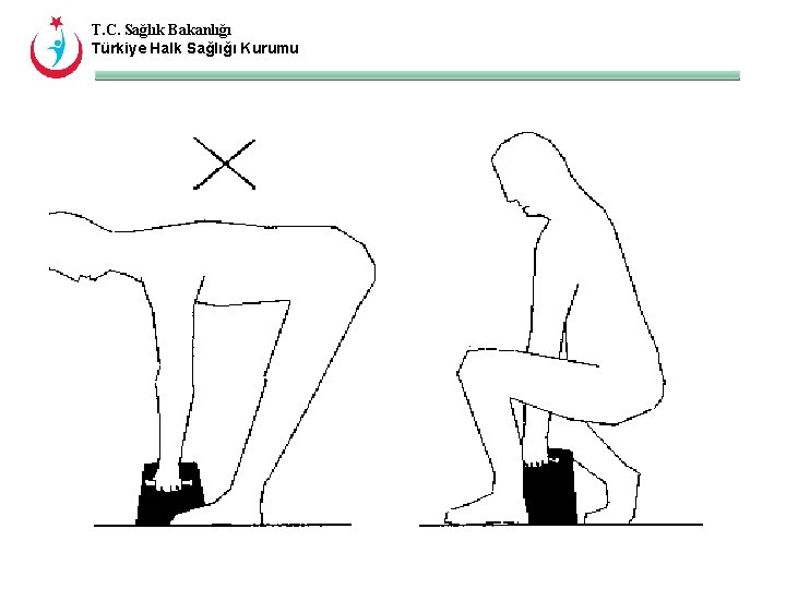 T. C. Sağlık Bakanlığı Türkiye Halk Sağlığı Kurumu 