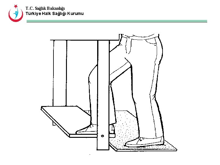 T. C. Sağlık Bakanlığı Türkiye Halk Sağlığı Kurumu 
