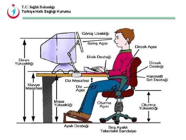T. C. Sağlık Bakanlığı Türkiye Halk Sağlığı Kurumu 