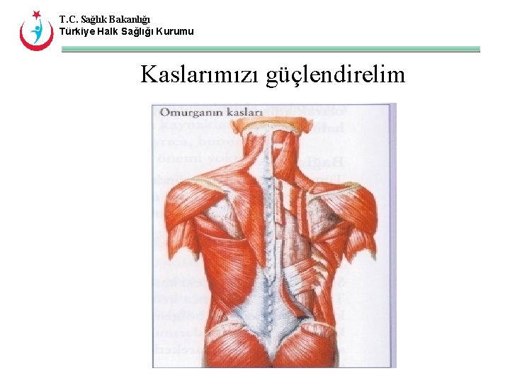 T. C. Sağlık Bakanlığı Türkiye Halk Sağlığı Kurumu Kaslarımızı güçlendirelim 