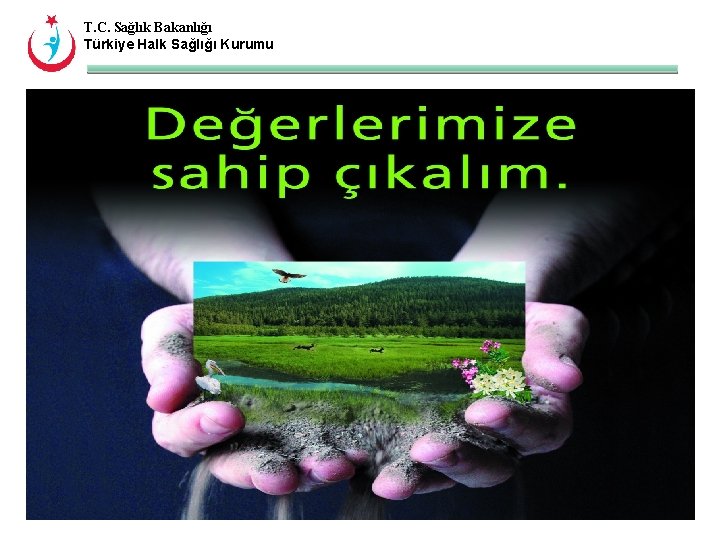 T. C. Sağlık Bakanlığı Türkiye Halk Sağlığı Kurumu 