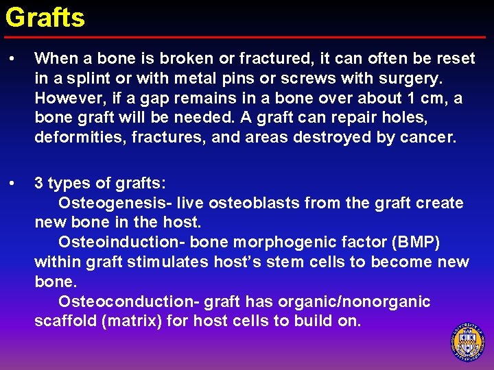 Grafts • When a bone is broken or fractured, it can often be reset